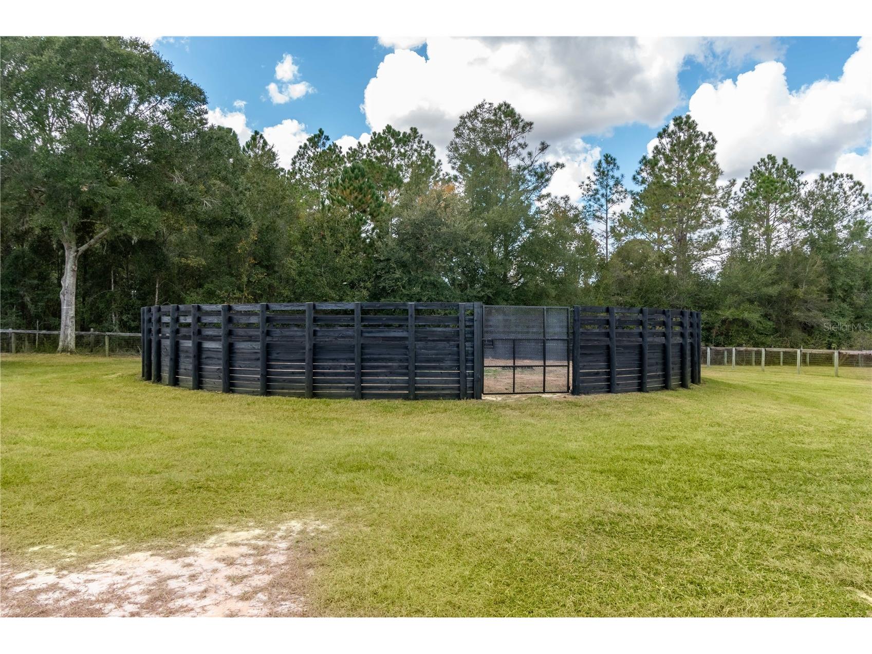 6140 NW 145th Avenue Road Morriston FL 32668 OM703863 image36
