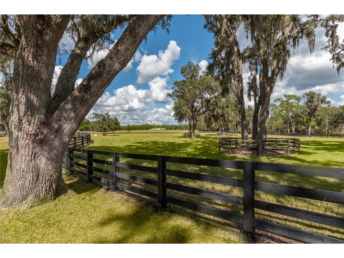 6140 NW 145th Avenue Road Morriston FL 32668 OM704207 image32