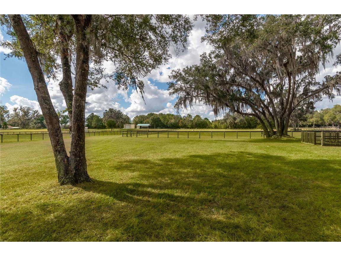 6140 NW 145th Avenue Road Morriston FL 32668 OM704207 image33