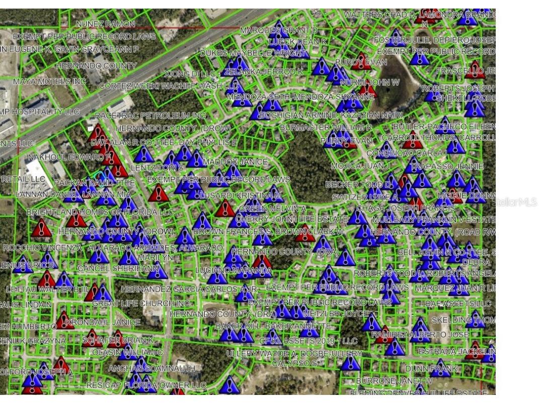 6141 Freeport Drive Spring Hill FL 34606 W7871235 image28