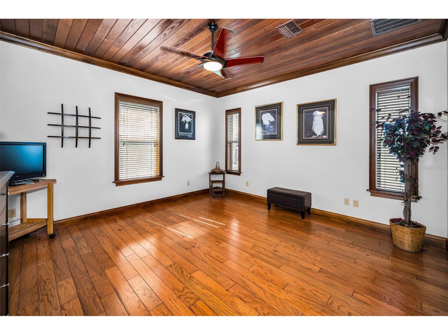 6141 Lafayette Street New Port Richey FL 34652 - PITHLACHASCOTEE RIVER TB8442287 image25