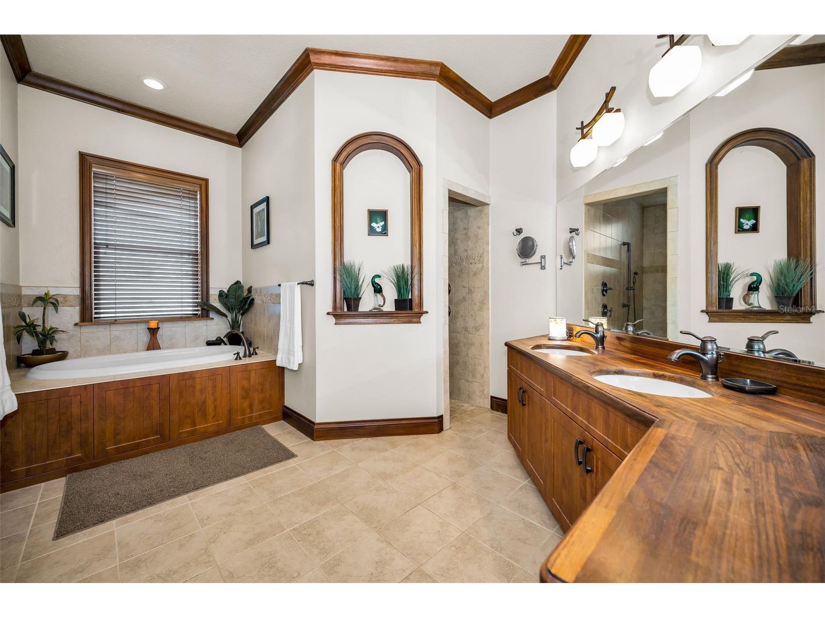 6141 Lafayette Street New Port Richey FL 34652 - PITHLACHASCOTEE RIVER TB8442287 image27