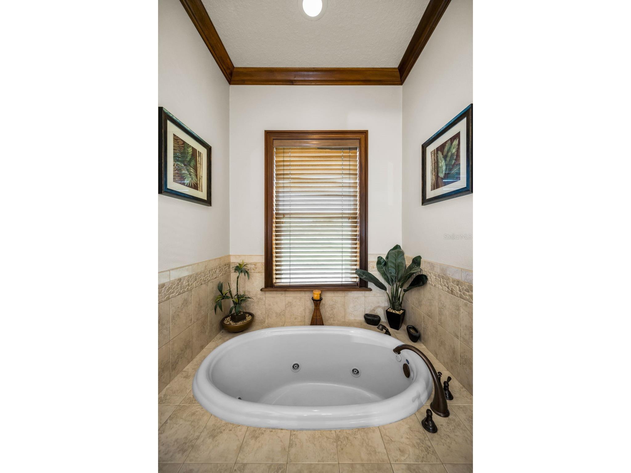 6141 Lafayette Street New Port Richey FL 34652 - PITHLACHASCOTEE RIVER TB8442287 image28