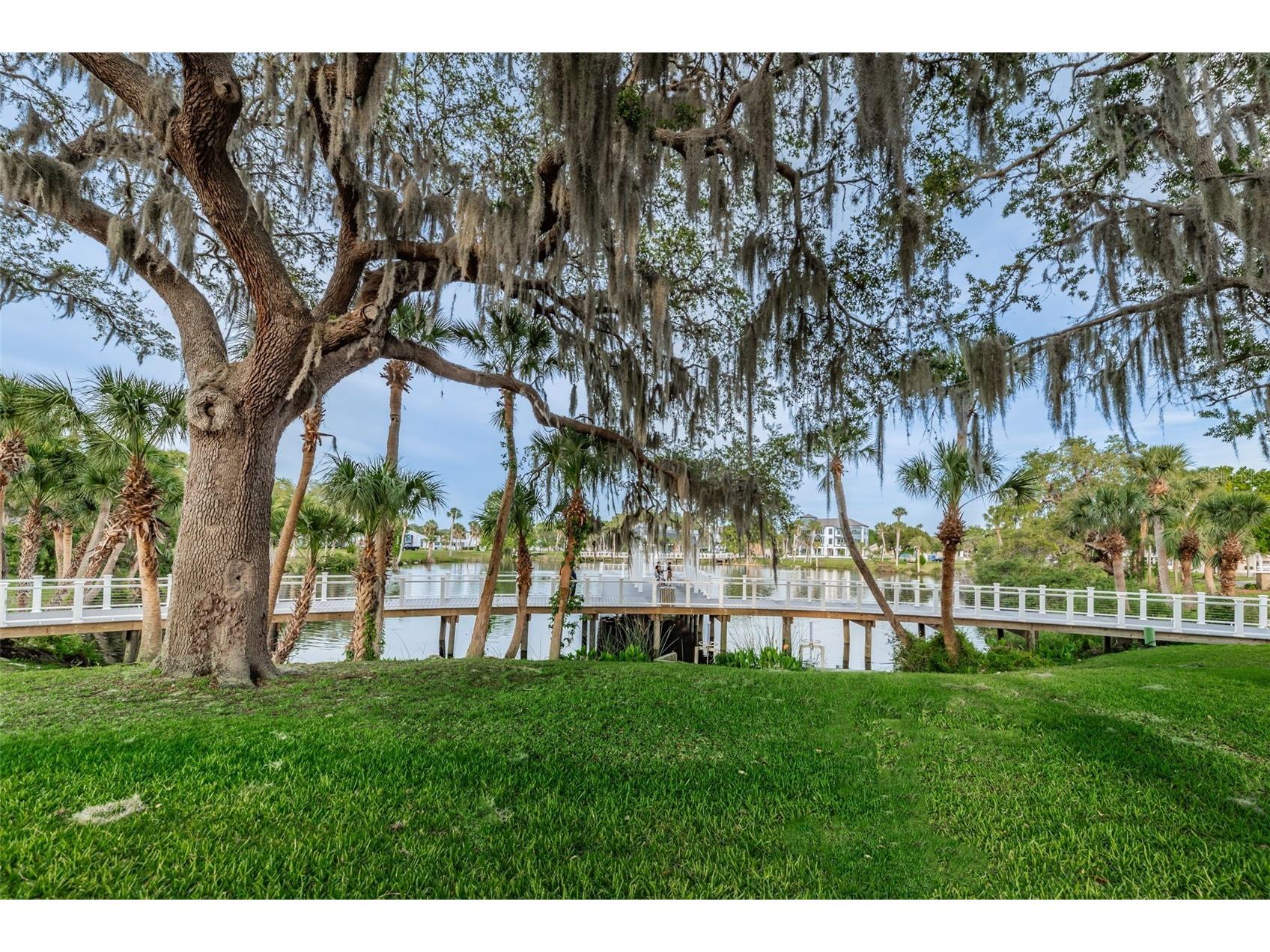6141 Lafayette Street New Port Richey FL 34652 - PITHLACHASCOTEE RIVER TB8442287 image84