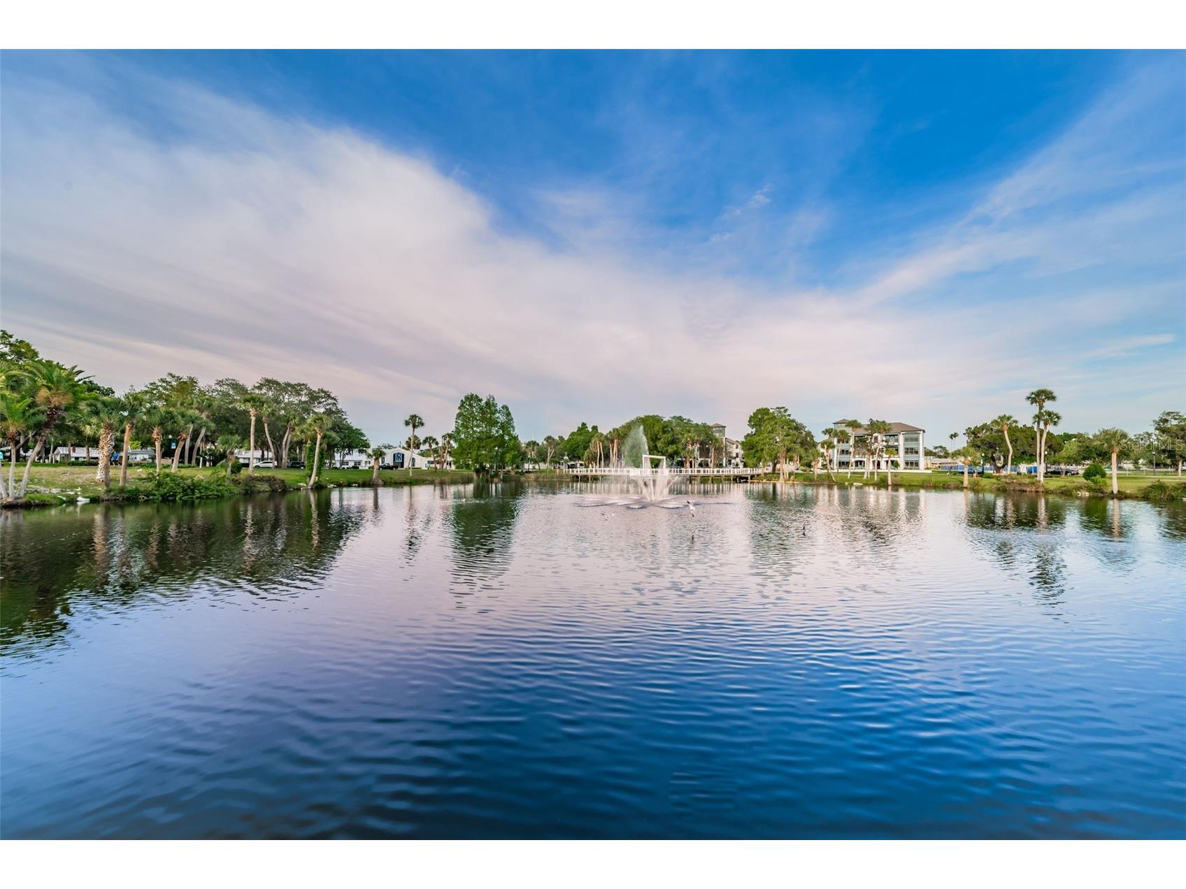 6141 Lafayette Street New Port Richey FL 34652 - PITHLACHASCOTEE RIVER TB8442287 image86