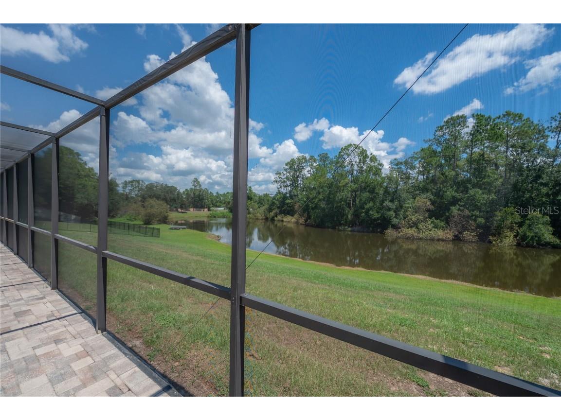 6142 Caroline Drive Wesley Chapel FL 33544 TB8420001 image34