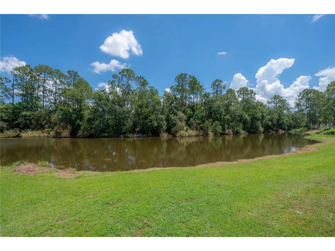 6142 Caroline Drive Wesley Chapel FL 33544 TB8420001 image36