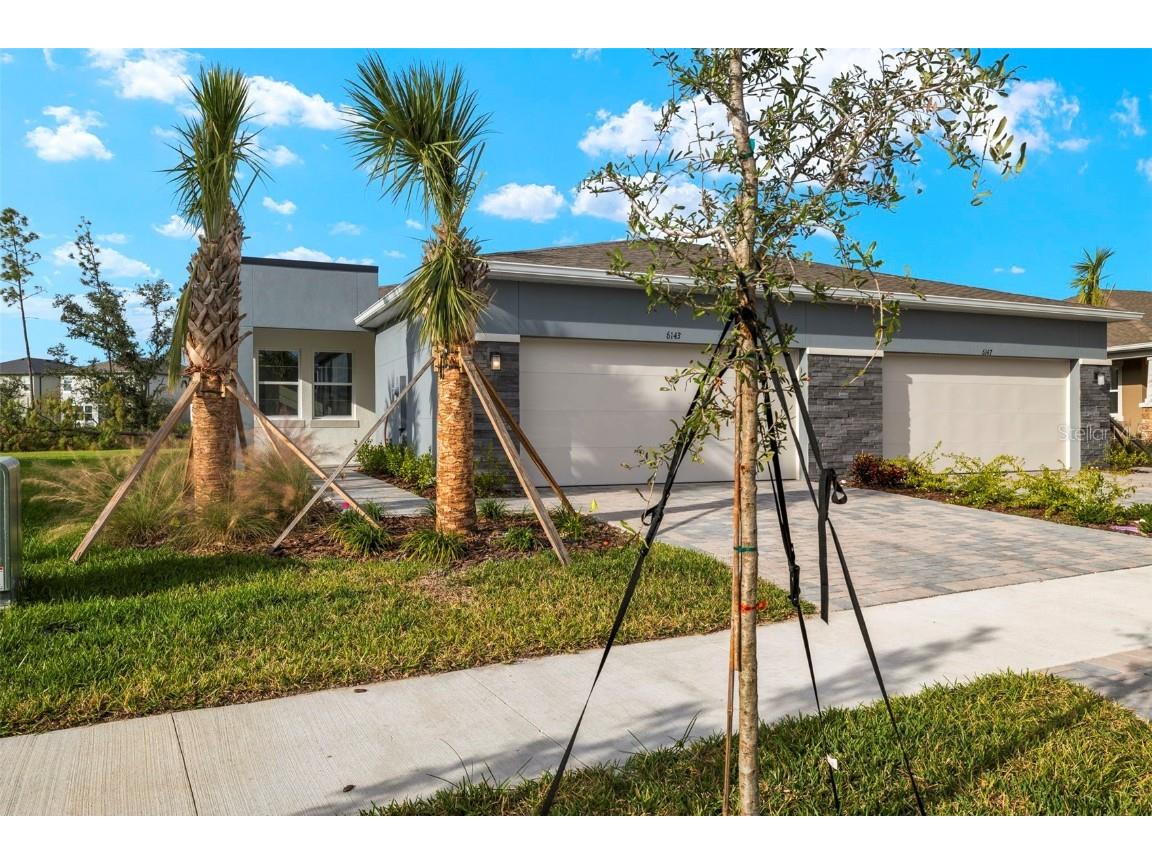 6143 Timberdale Avenue Wesley Chapel FL 33545 T3529010 image1
