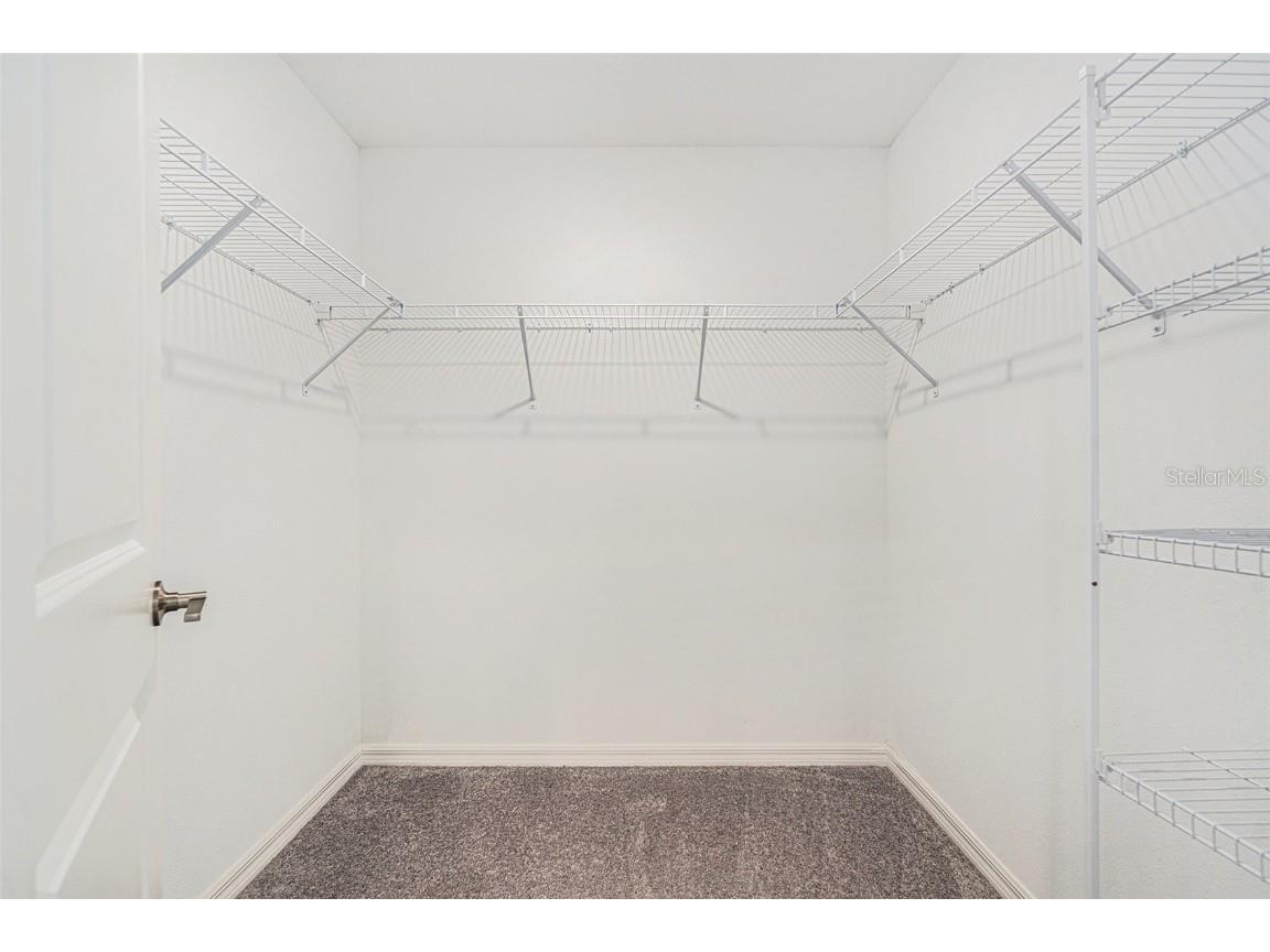 6144 Shiner Street Land O Lakes FL 34638 TB8428751 image17