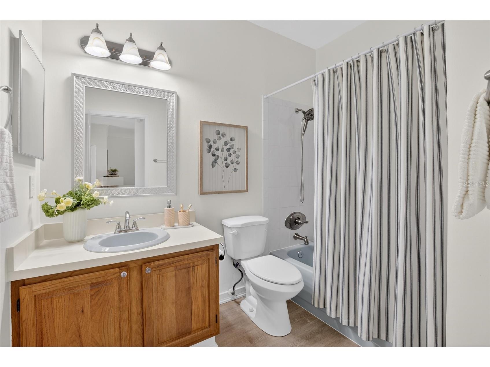 6144 Silver Lakes Drive E Lakeland FL 33810 L4960153 image32