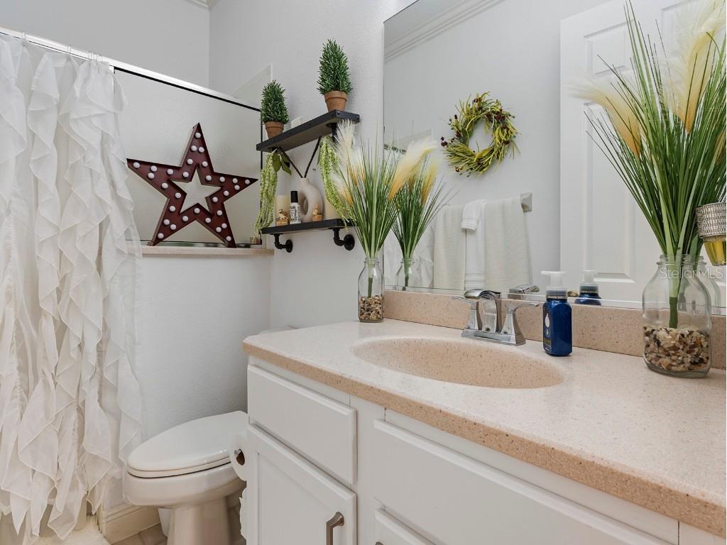 6145 Spinnaker Loop Lady Lake FL 32159 O6342921 image32