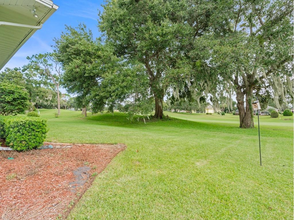 6145 Spinnaker Loop Lady Lake FL 32159 O6342921 image37