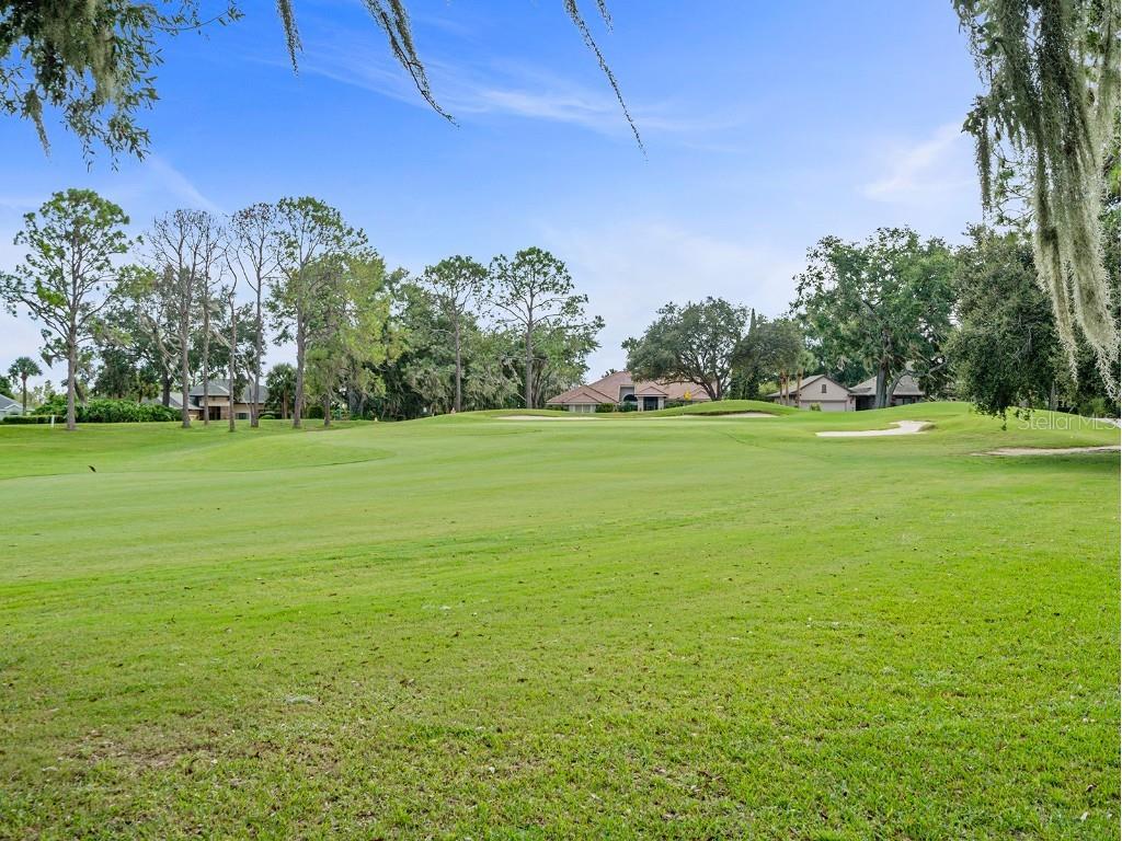 6145 Spinnaker Loop Lady Lake FL 32159 O6342921 image39