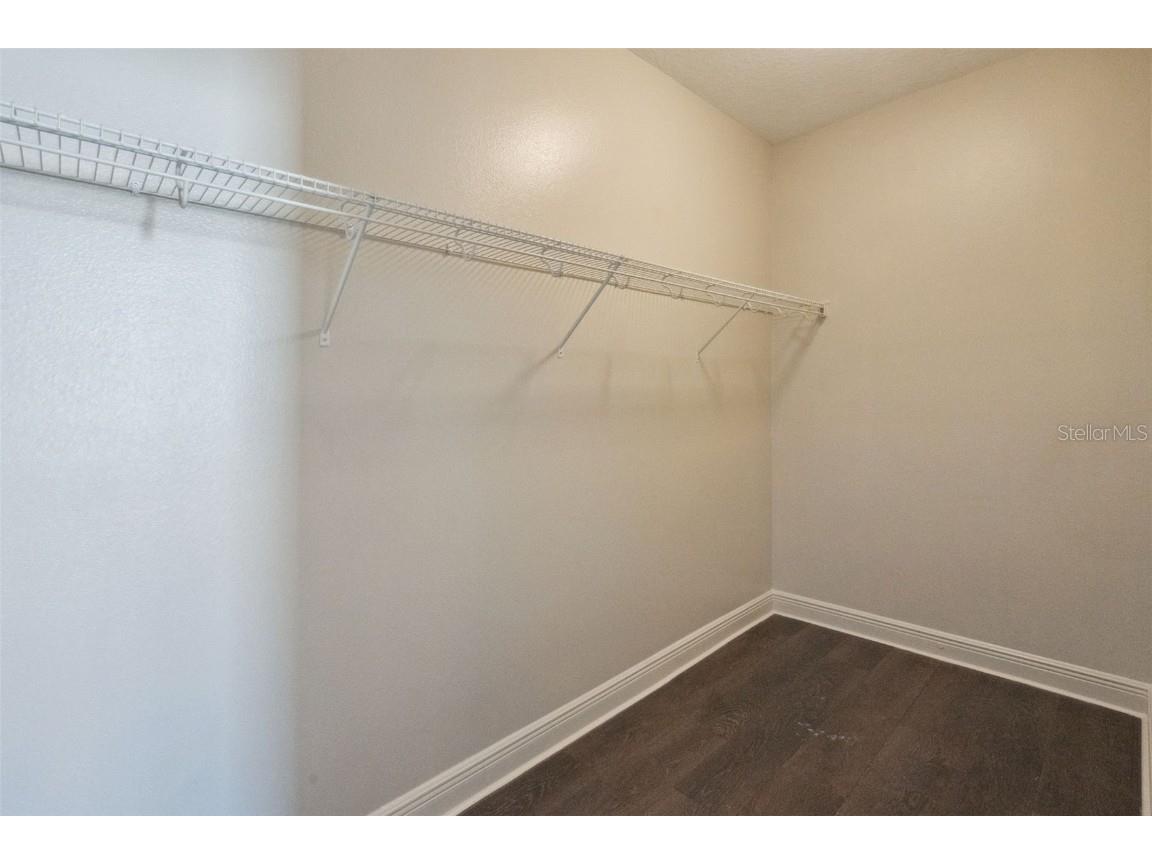 6146 Golden Dewdrop Trail Windermere FL 34786 O6368142 image41