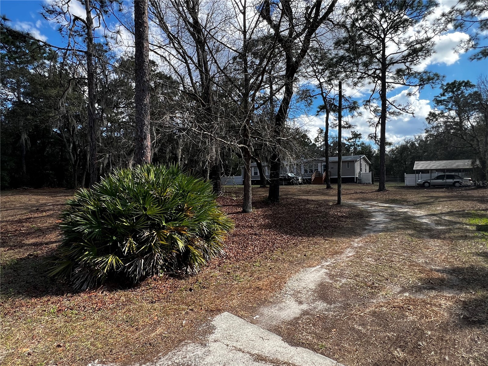 6146 W Heritage Drive Homosassa FL 34448 W7883543 image10