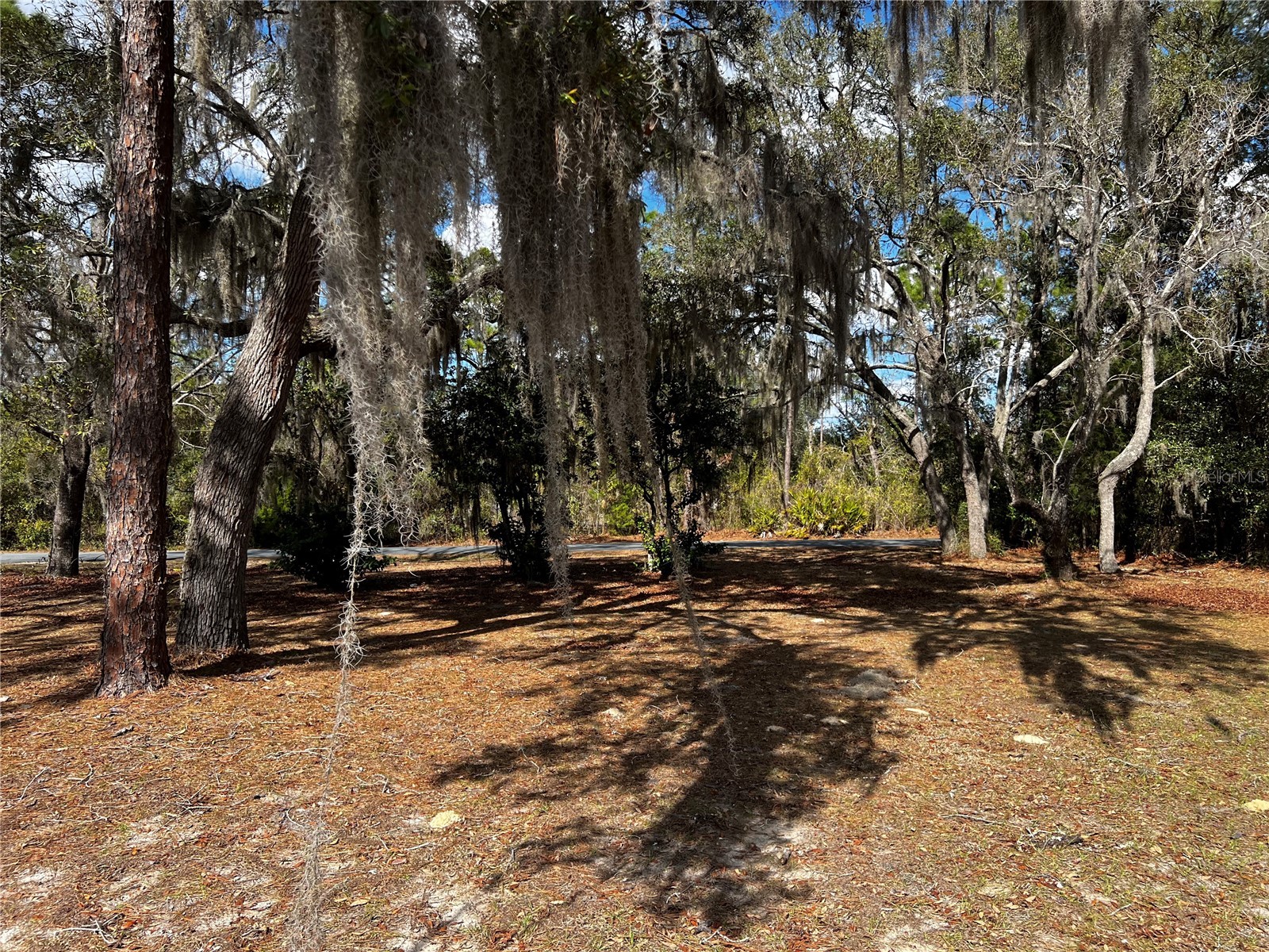 6146 W Heritage Drive Homosassa FL 34448 W7883543 image11