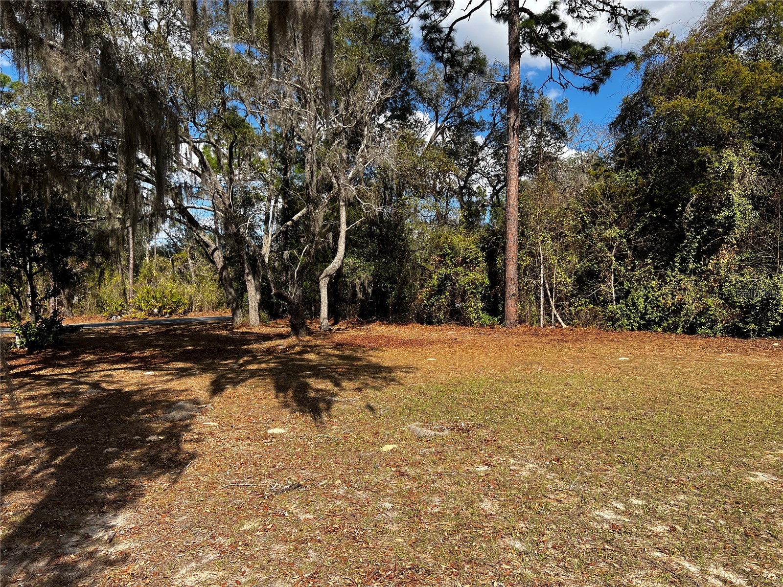 6146 W Heritage Drive Homosassa FL 34448 W7883543 image12