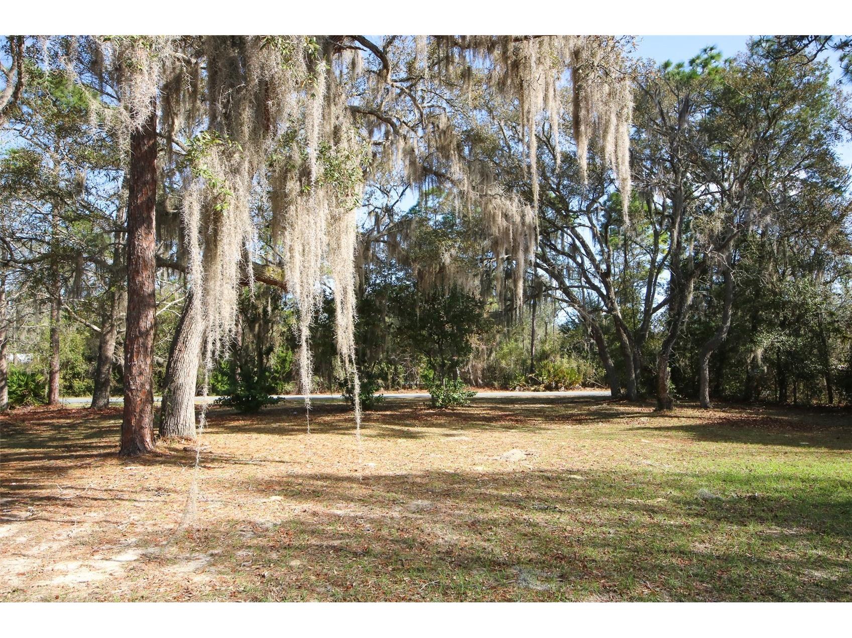6146 W Heritage Drive Homosassa FL 34448 W7883543 image16