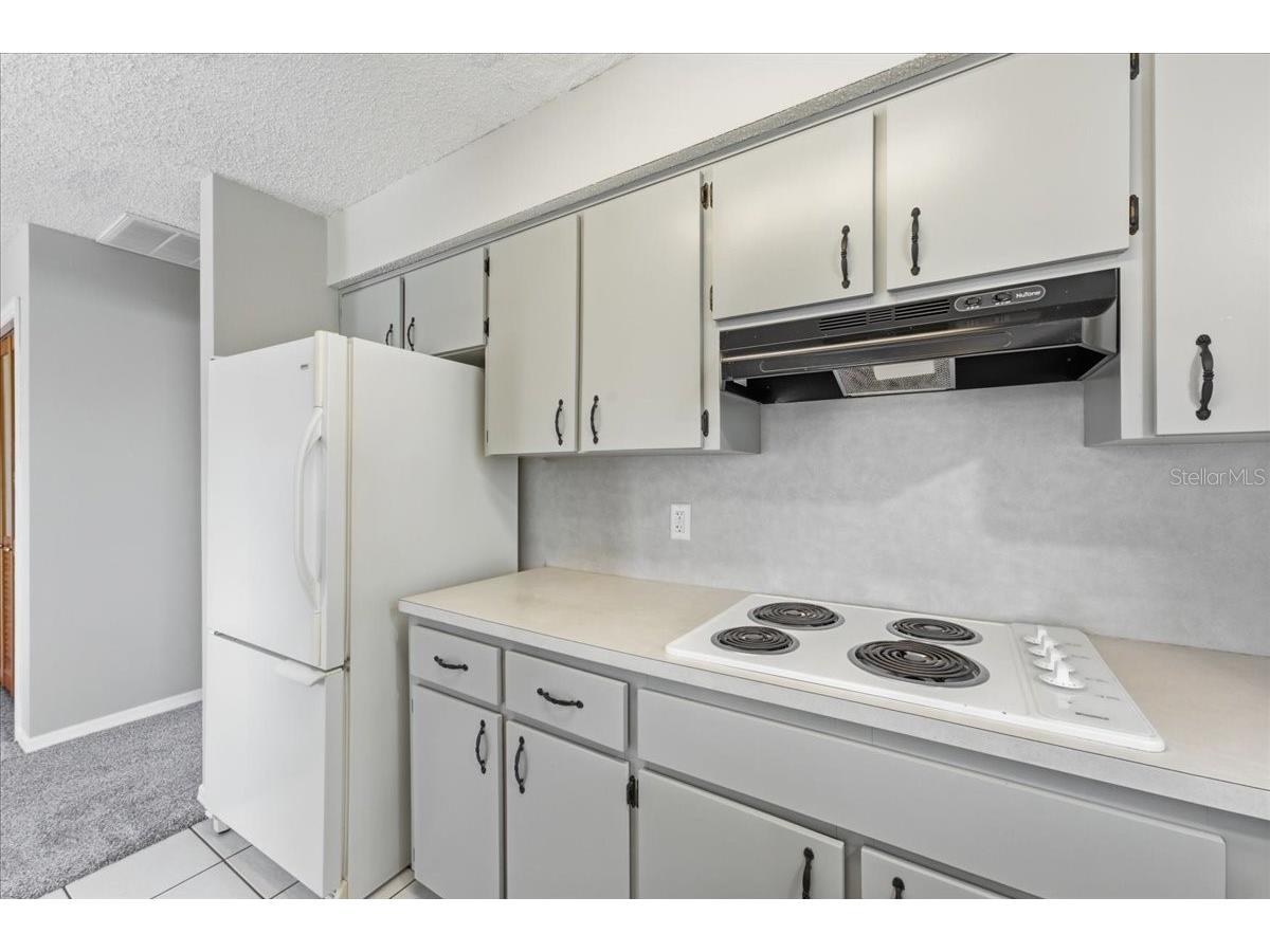 6147 Elmhurst Drive New Port Richey FL 34653 TB8525723 image18