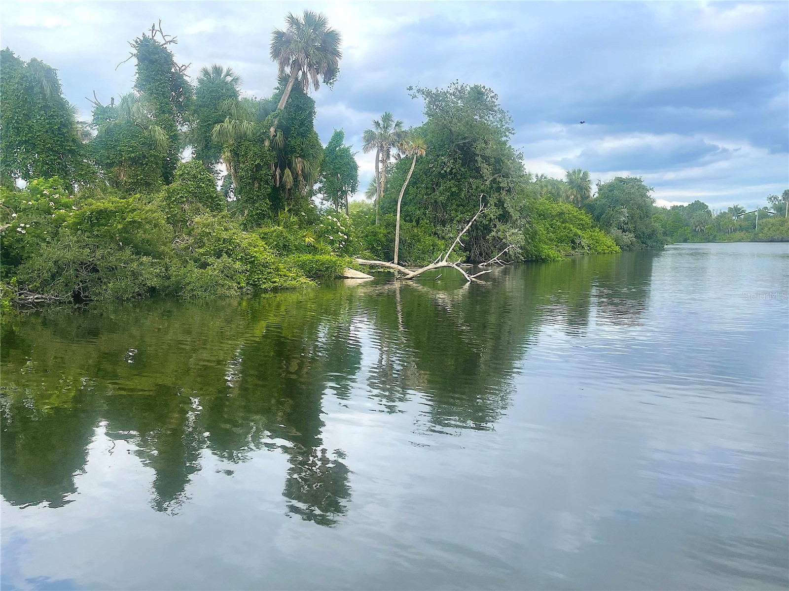 6148 Palomino Circle Bradenton FL 34201 - BRADEN RIVER A4691703 image65