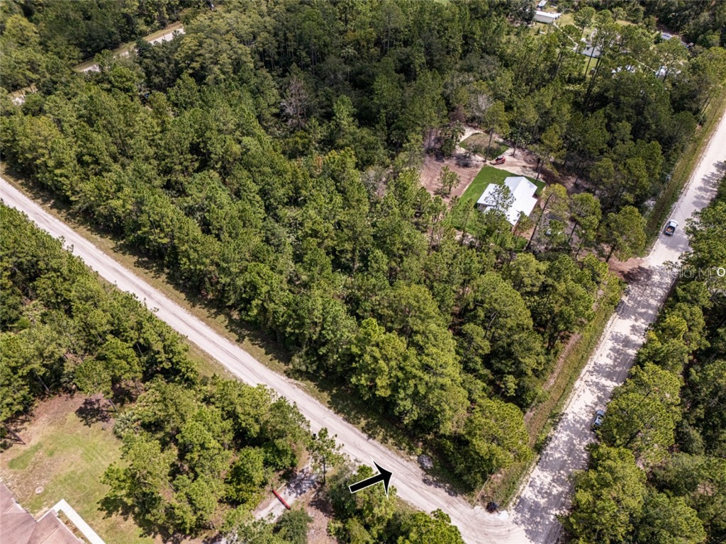 6148 Tangerine Avenue Bunnell FL 32110 FC312342 image3