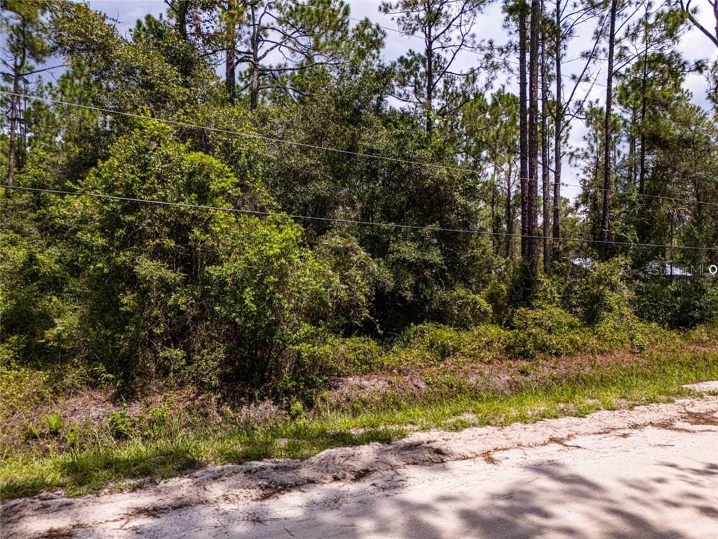 6148 Tangerine Avenue Bunnell FL 32110 FC312342 image9