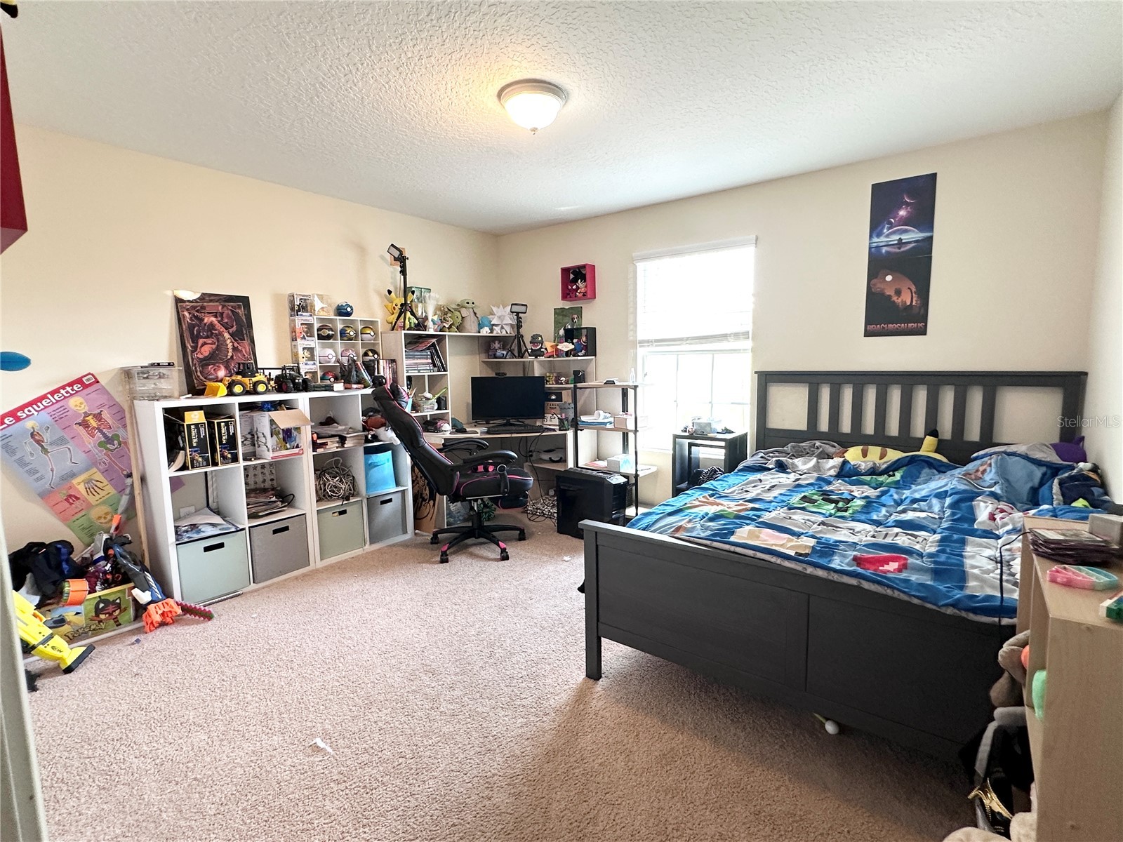 6148 Waterside Island Lane Winter Garden FL 34787 O6398414 image11