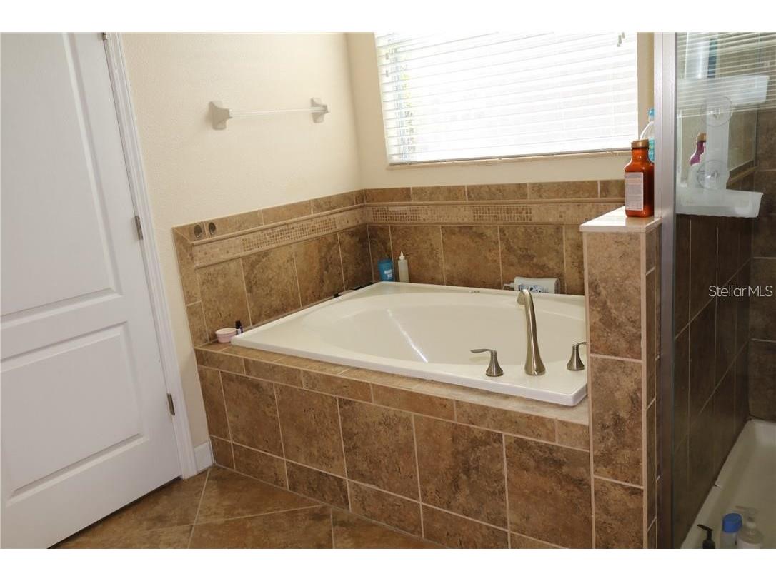 6148 Waterside Island Lane Winter Garden FL 34787 O6398414 image14