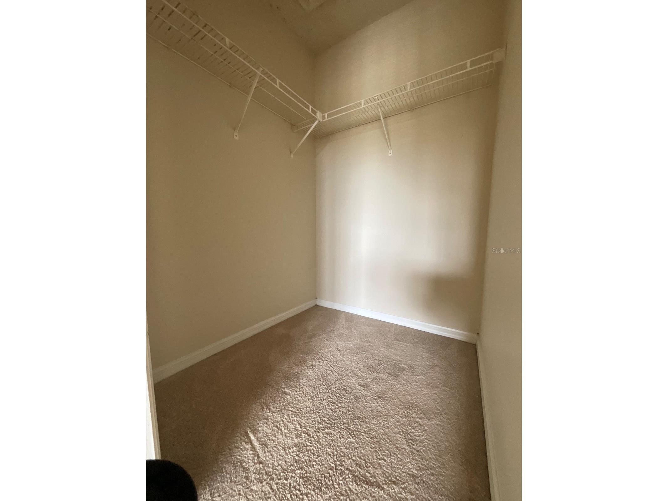 6148 Westgate Drive #302 Orlando FL 32835 S5142991 image11