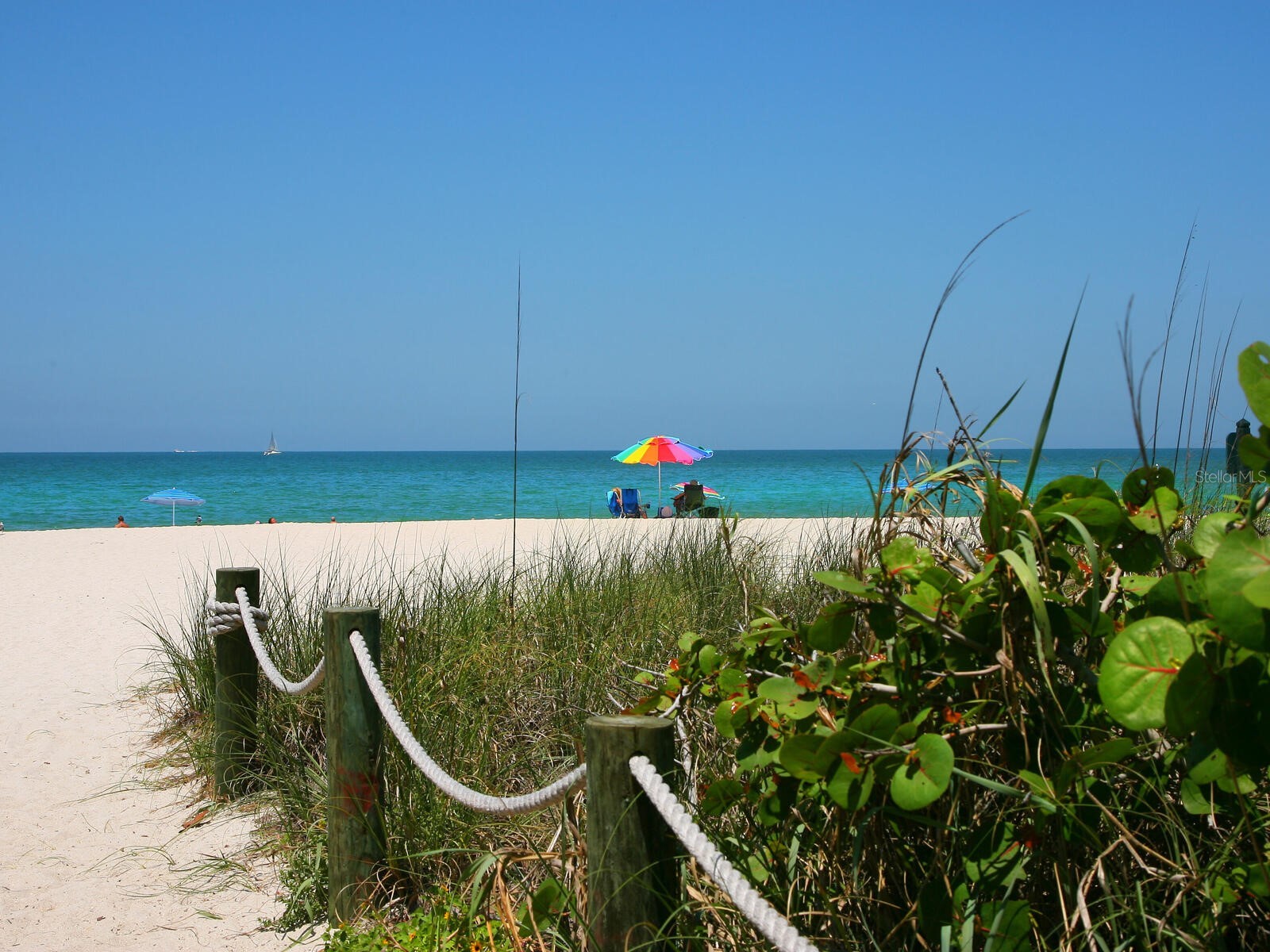 615 Buttonwood Drive Longboat Key FL 34228 - CRANE'S BAYOU/SARASOTA BAY A4673335 image20