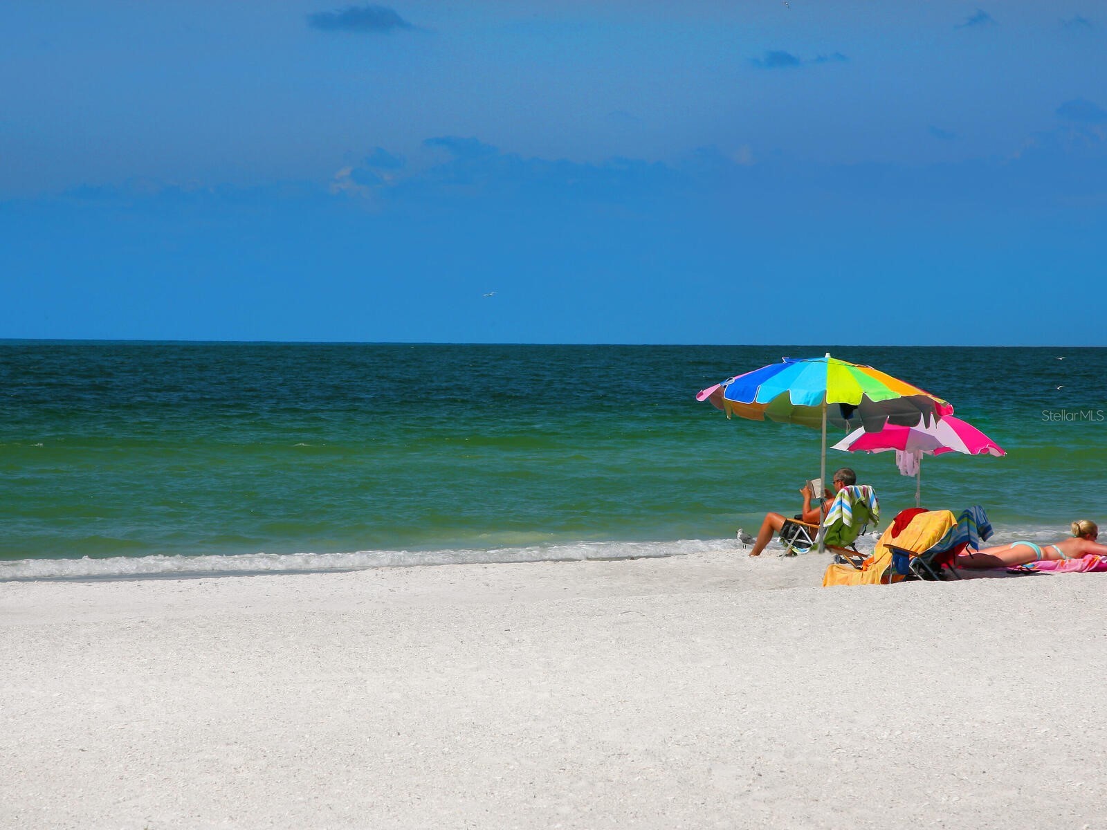 615 Buttonwood Drive Longboat Key FL 34228 - CRANE'S BAYOU/SARASOTA BAY A4673335 image21