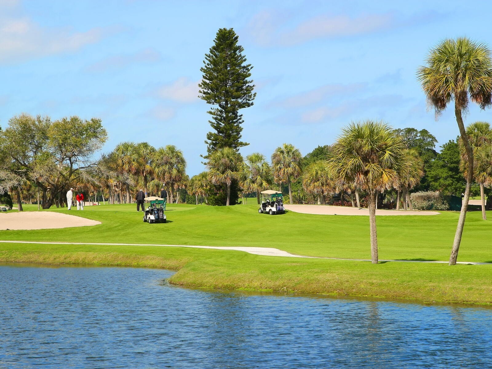 615 Buttonwood Drive Longboat Key FL 34228 - CRANE'S BAYOU/SARASOTA BAY A4673335 image22
