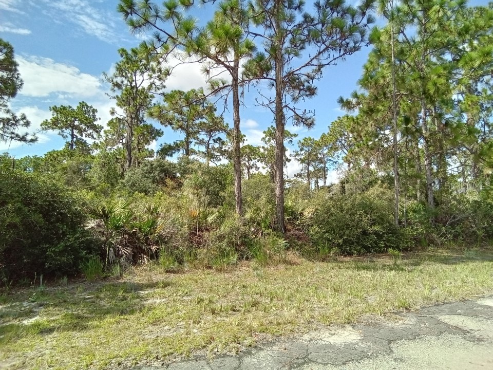 615 Camellia Drive Indian Lake Estates FL 33855 O6064147 image1