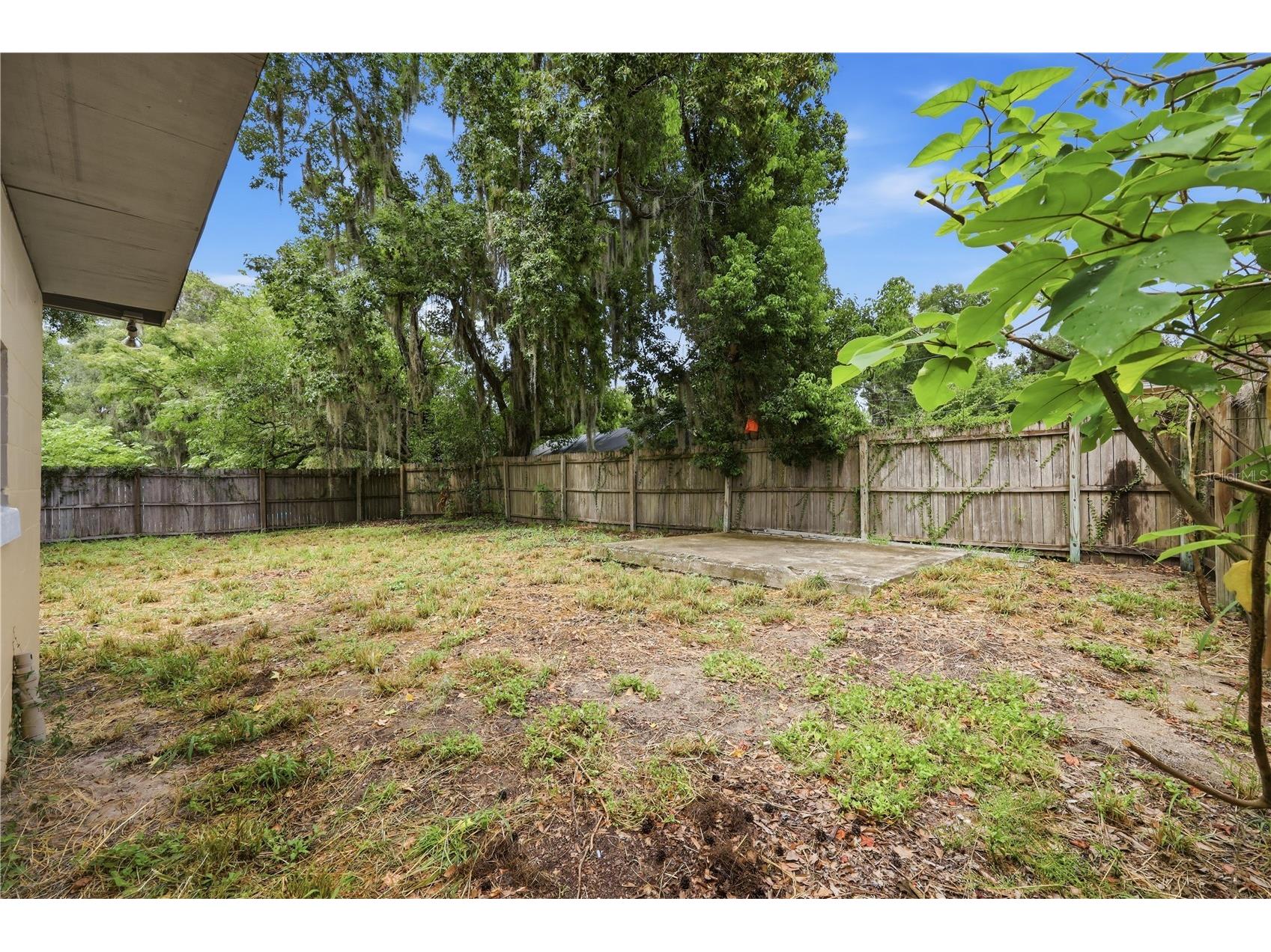 615 Danvers Street Eustis FL 32726 O6422456 image18