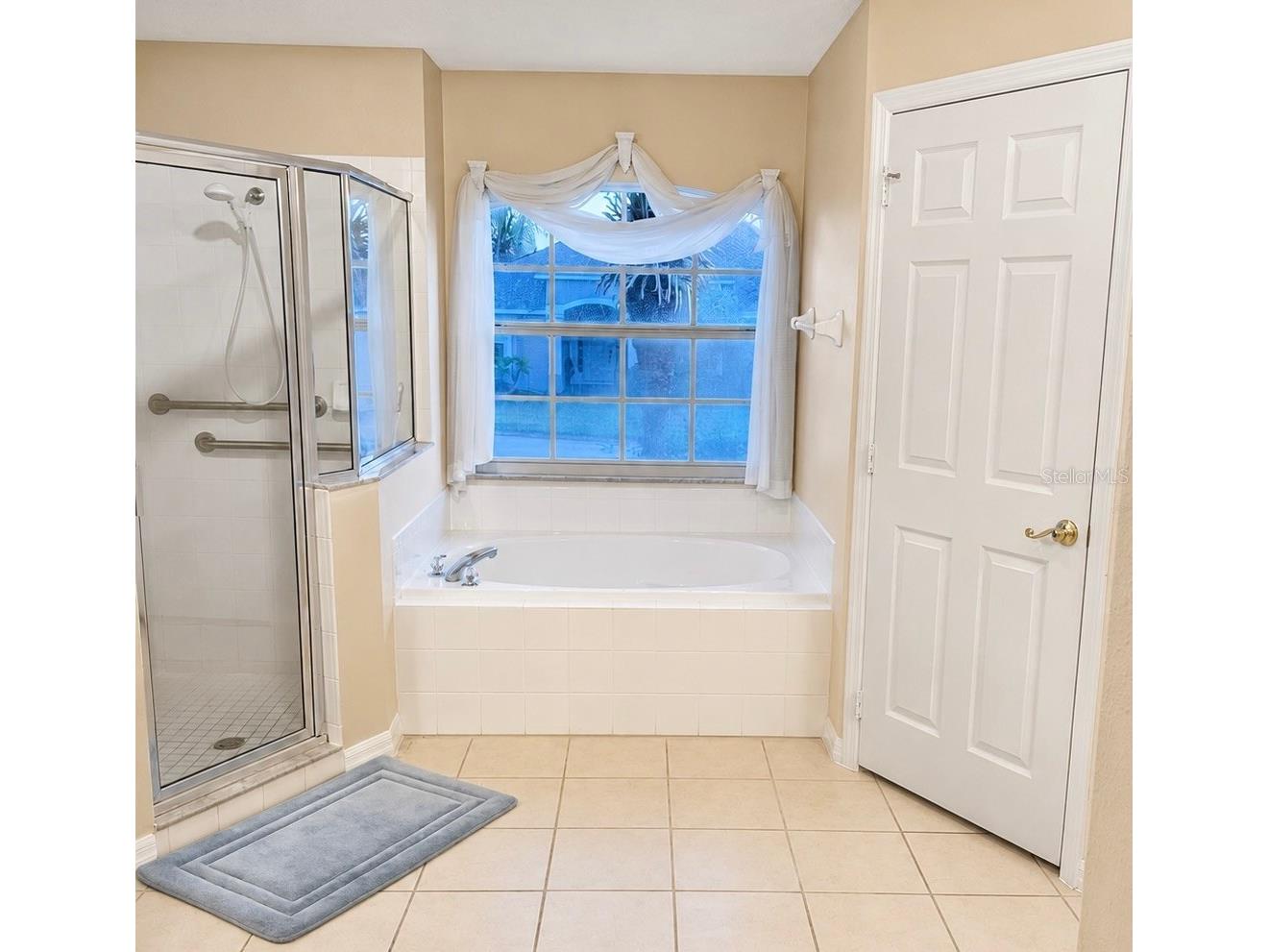 615 Dolcetto Drive Davenport FL 33897 O6403614 image16