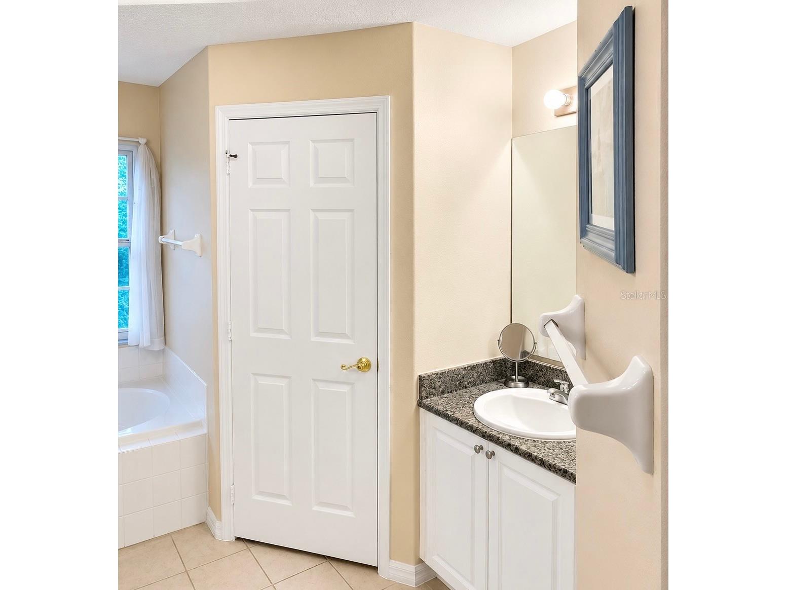 615 Dolcetto Drive Davenport FL 33897 O6403614 image17