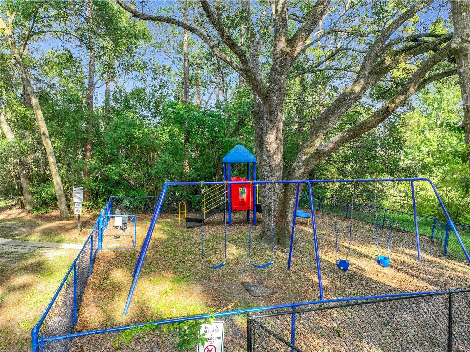 615 Dory Lane #303 Altamonte Springs FL 32714 O6405703 image37