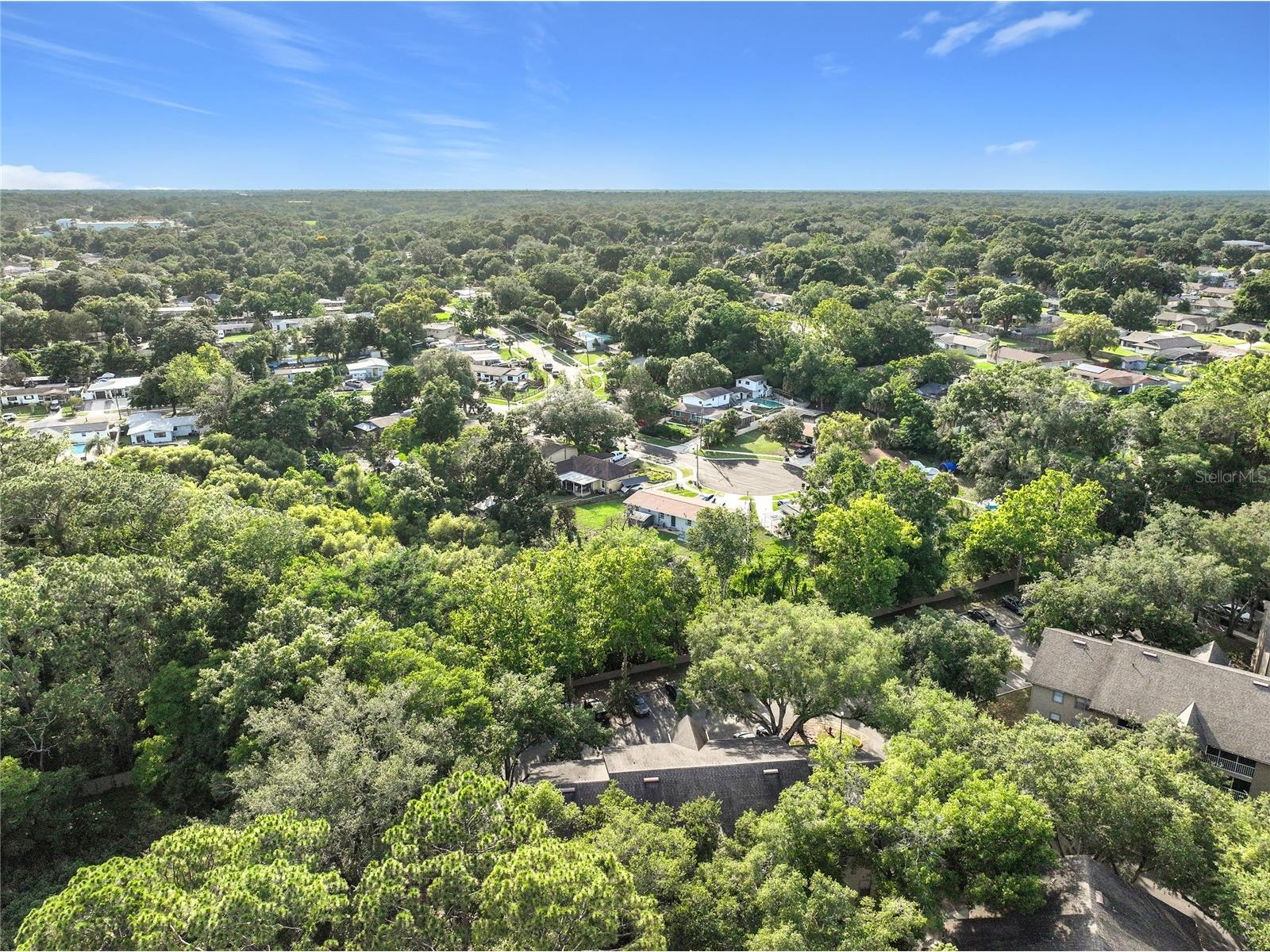 615 Dory Lane #303 Altamonte Springs FL 32714 O6405703 image40