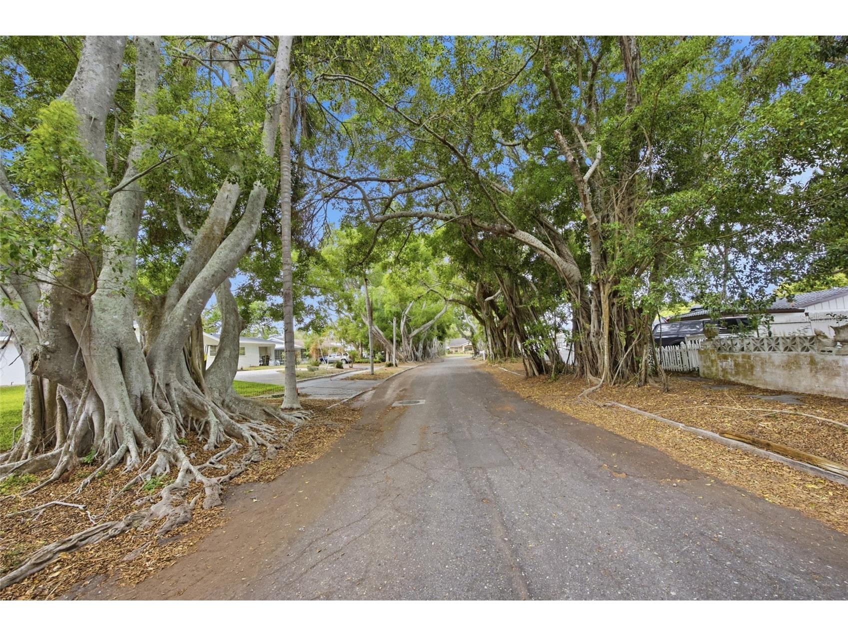 615 Fontana Lane Bradenton FL 34209 TB8492828 image34