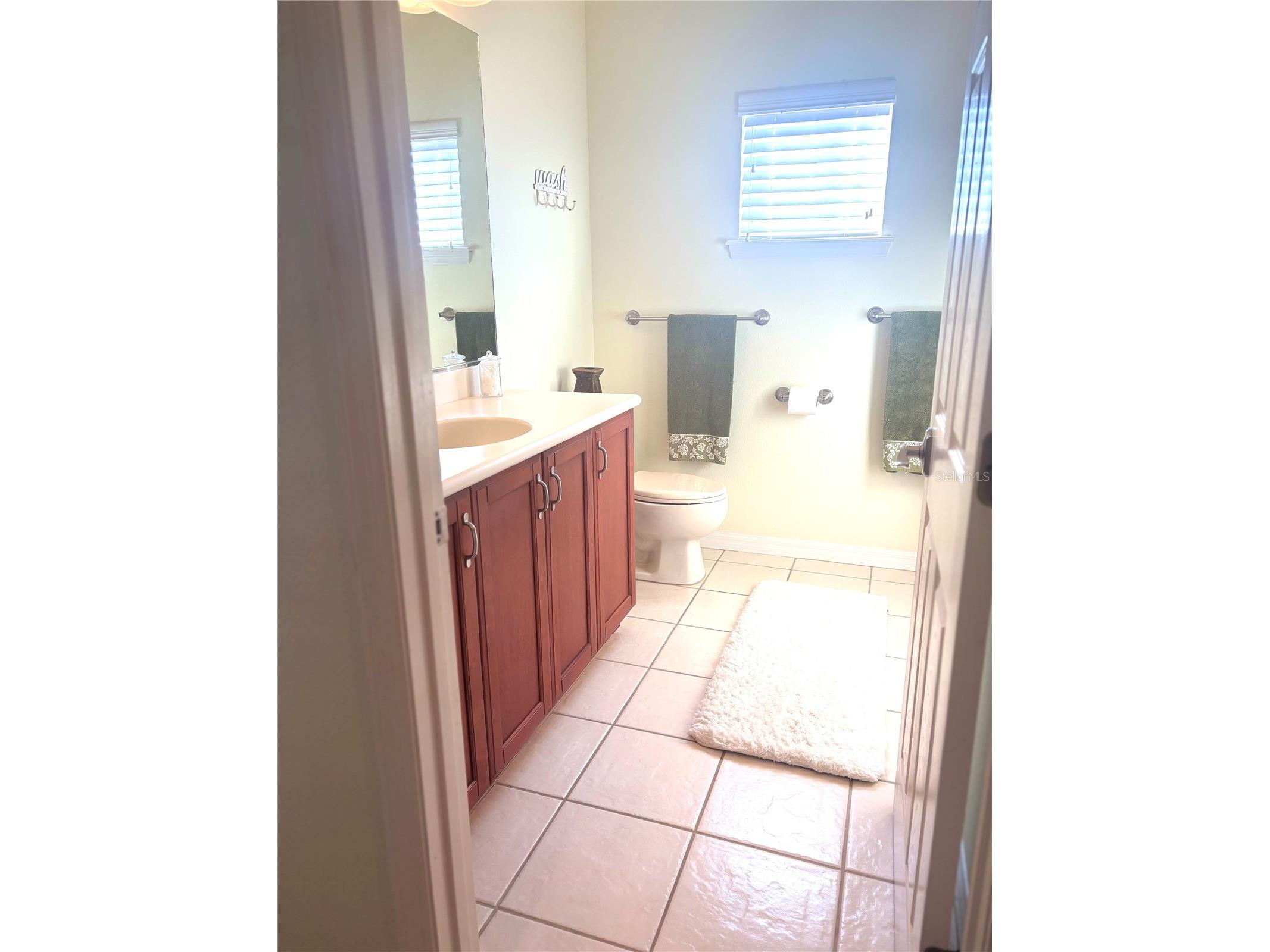 615 Islebay Drive Apollo Beach FL 33572 O6387788 image38