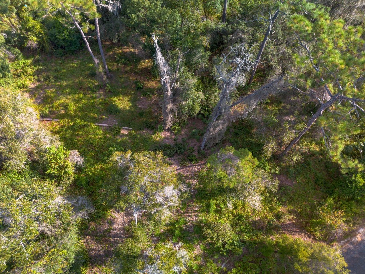 615 Lake Butler Avenue Osteen FL 32764 V4949226 image10