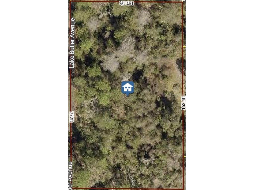 615 Lake Butler Avenue Osteen FL 32764 V4949226 image2