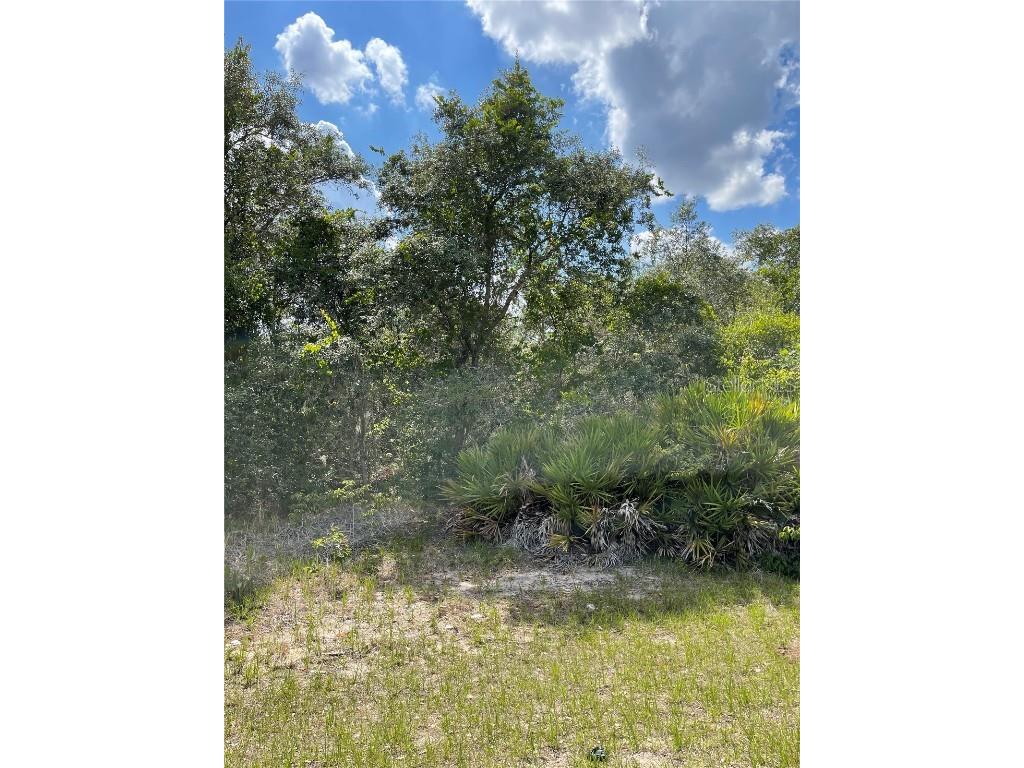 615 Mediterranean Court Poinciana FL 34759 S5049855 image1