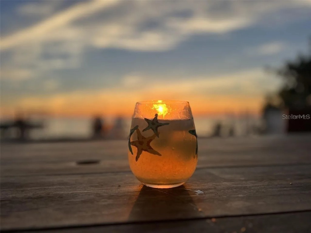 615 N Mayo Street Crystal Beach FL 34681 - GULF OF MEXICO TB8433362 image49