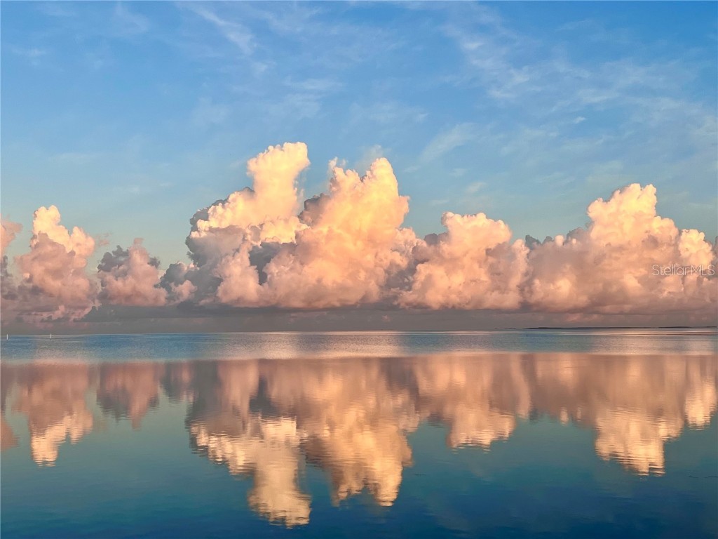 615 N Mayo Street Crystal Beach FL 34681 - GULF OF MEXICO TB8433362 image53