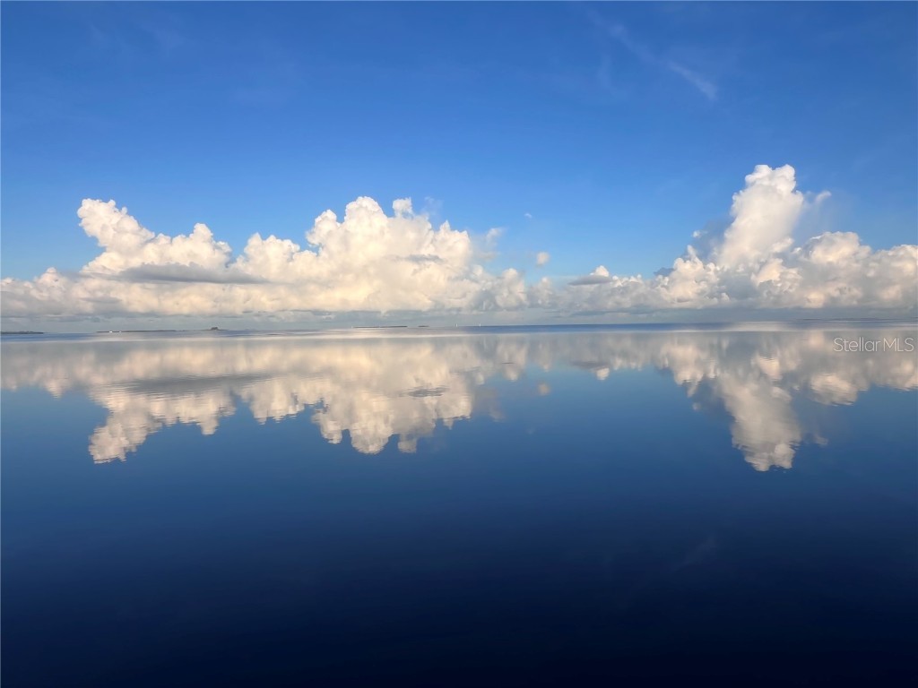 615 N Mayo Street Crystal Beach FL 34681 - GULF OF MEXICO TB8433362 image54