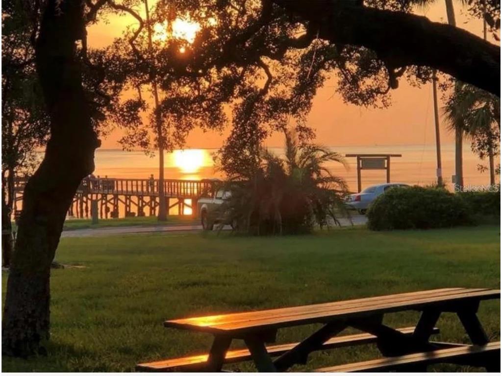 615 N Mayo Street Crystal Beach FL 34681 - GULF OF MEXICO TB8433362 image58