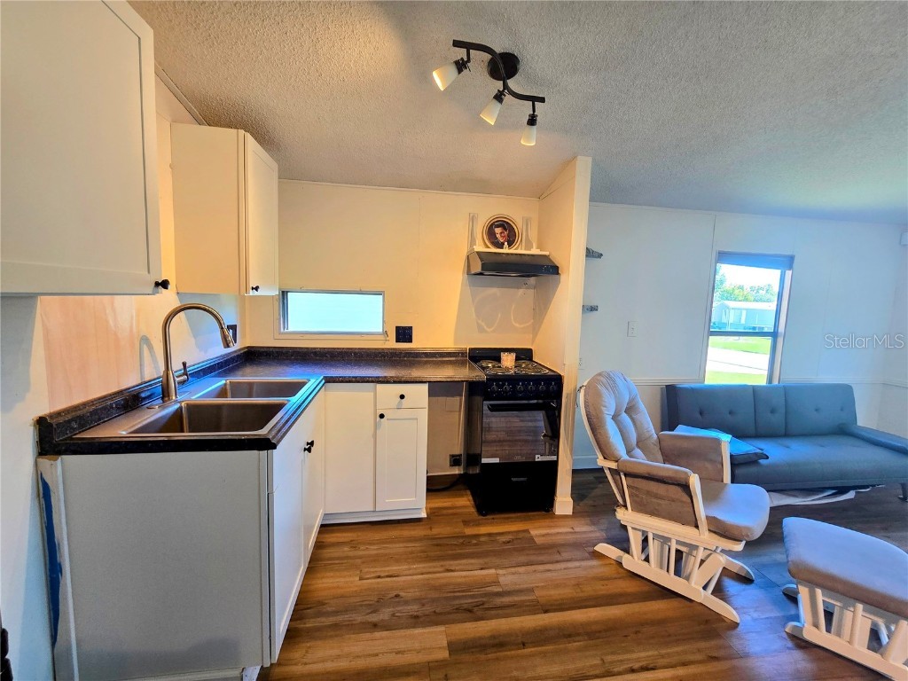 615 NE Cottage Park Lane Leesburg FL 34748 OM710883 image11