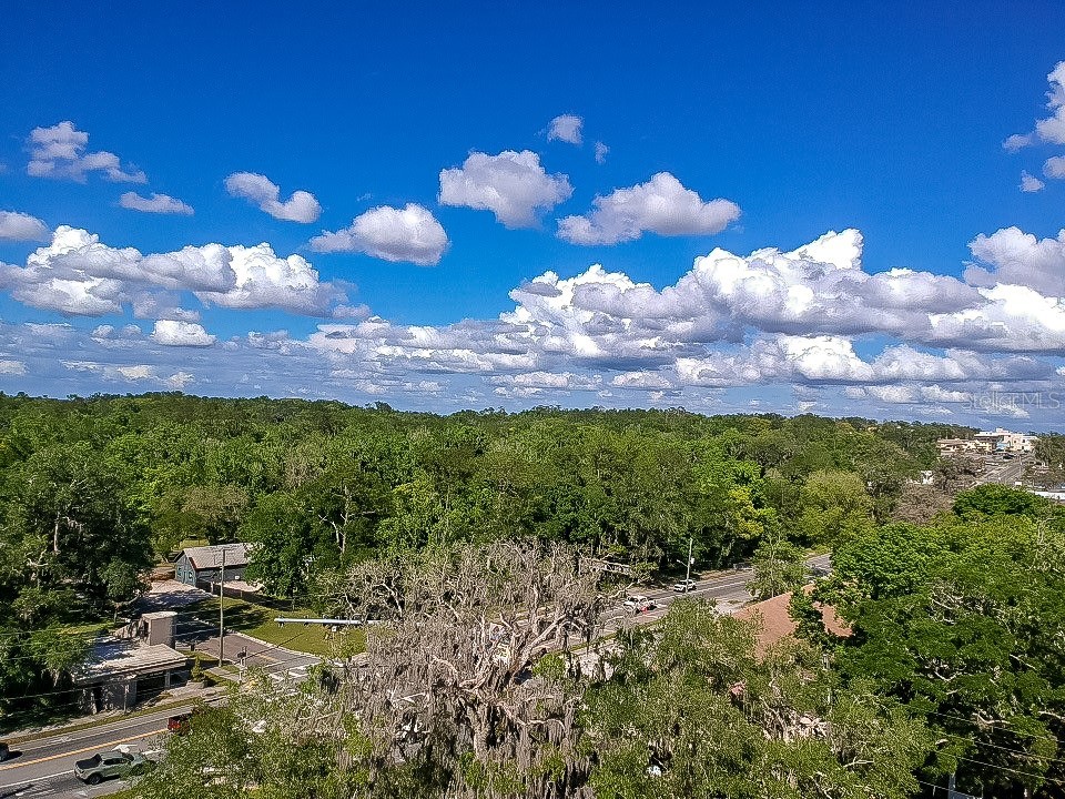 615 Old Hospital Drive Brooksville FL 34601 W7884361 image75
