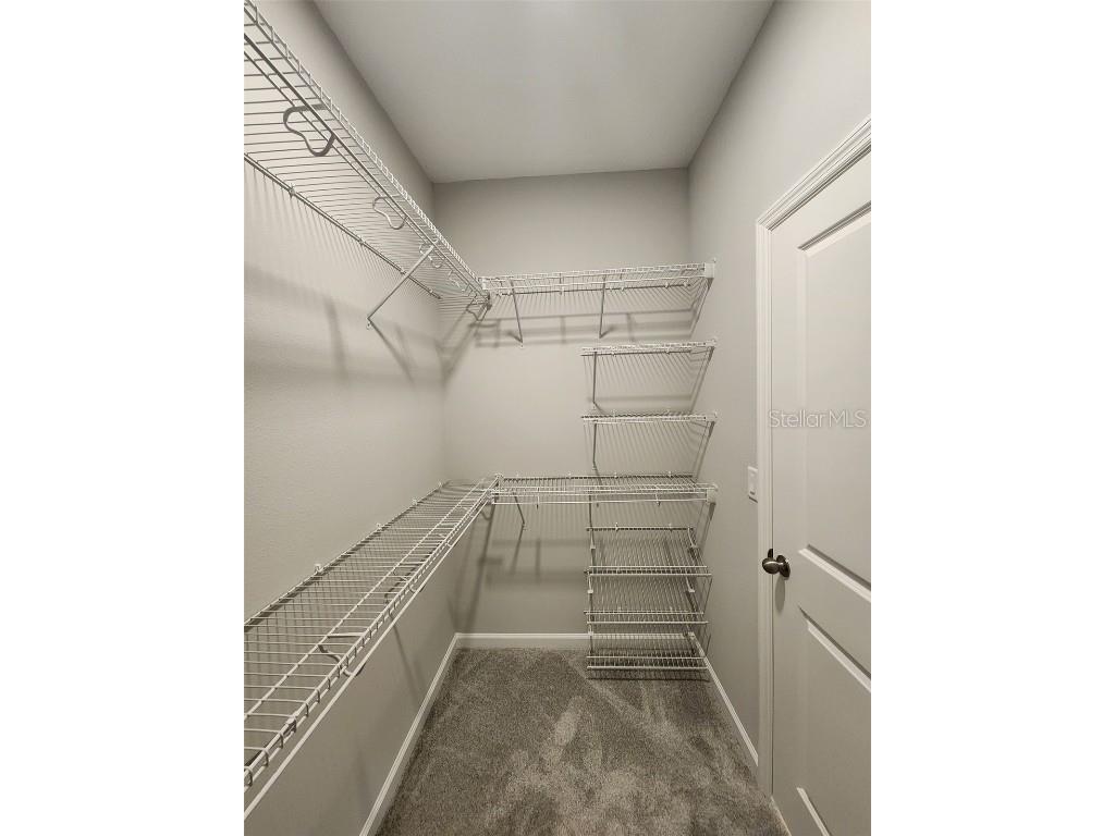 615 Pothos Street Apopka FL 32703 S5140279 image20